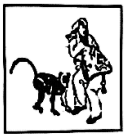 猴式 monkey 动作图（本题答案）